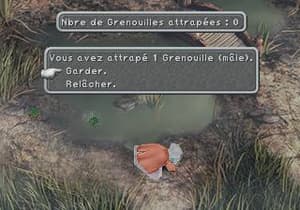 image solution Solution Final Fantasy IX