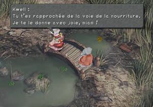 image solution Solution Final Fantasy IX