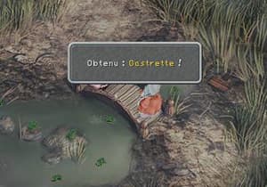 image solution Solution Final Fantasy IX