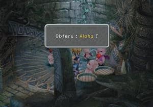image solution Solution Final Fantasy IX